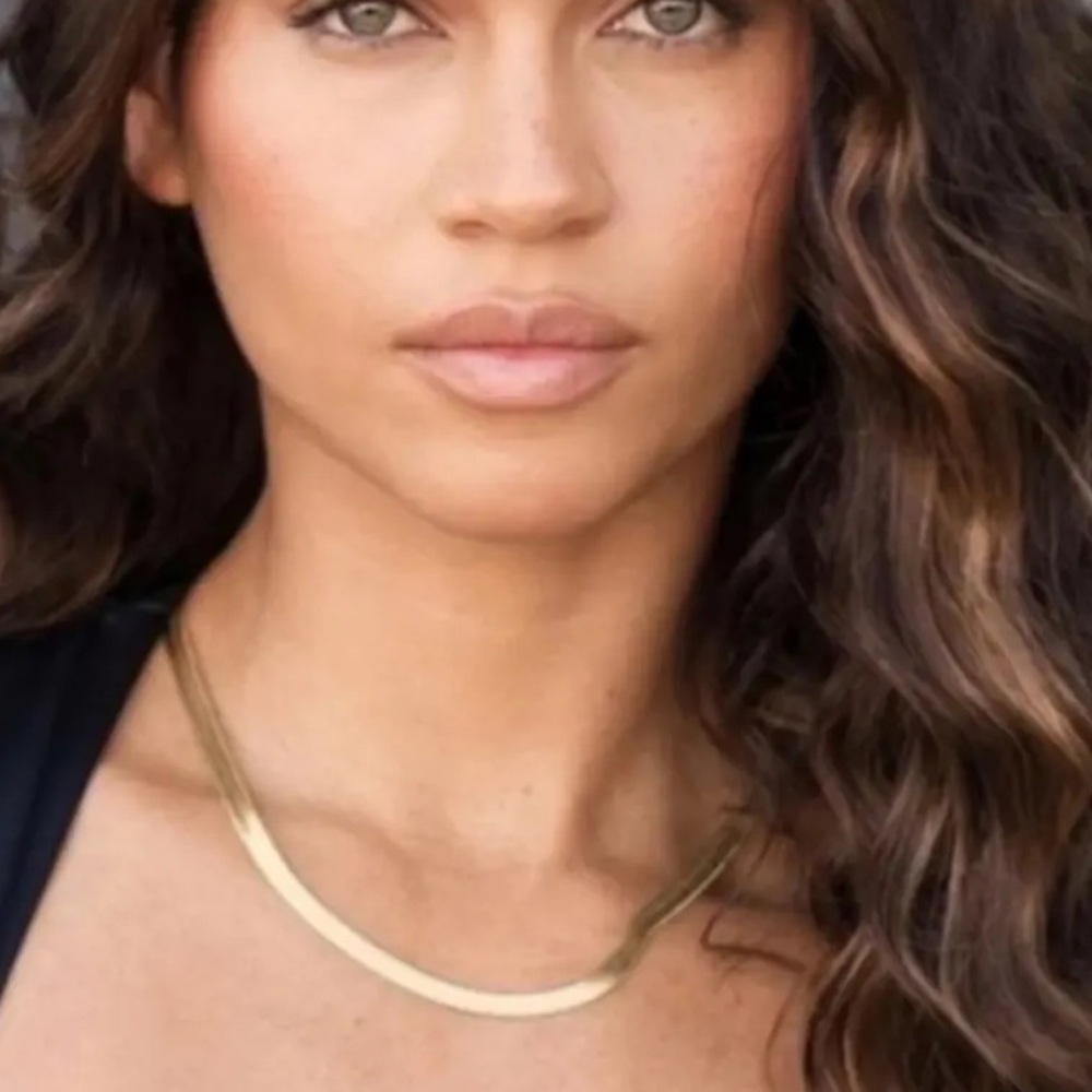 Jennifer‎ Zeuner Allie Necklace, GOLD Herringbone Chain, NWT